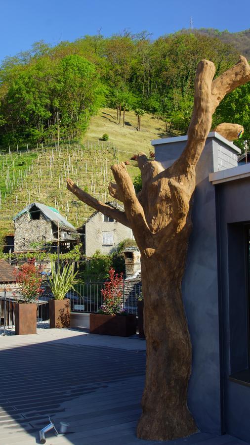 Albergo Porta Verzasca Gordola Exterior foto